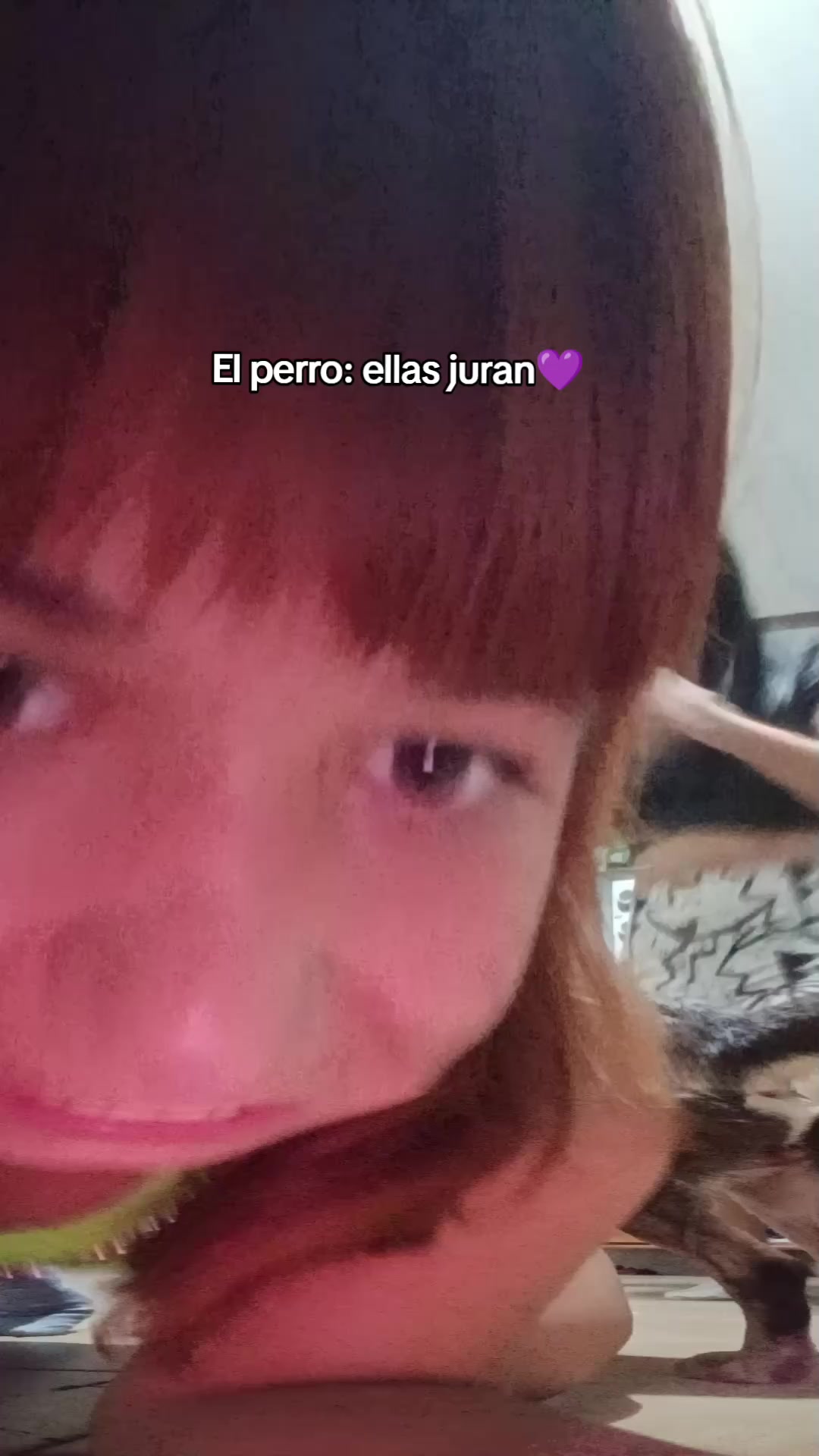 @Ara Insaurralde🇵🇾