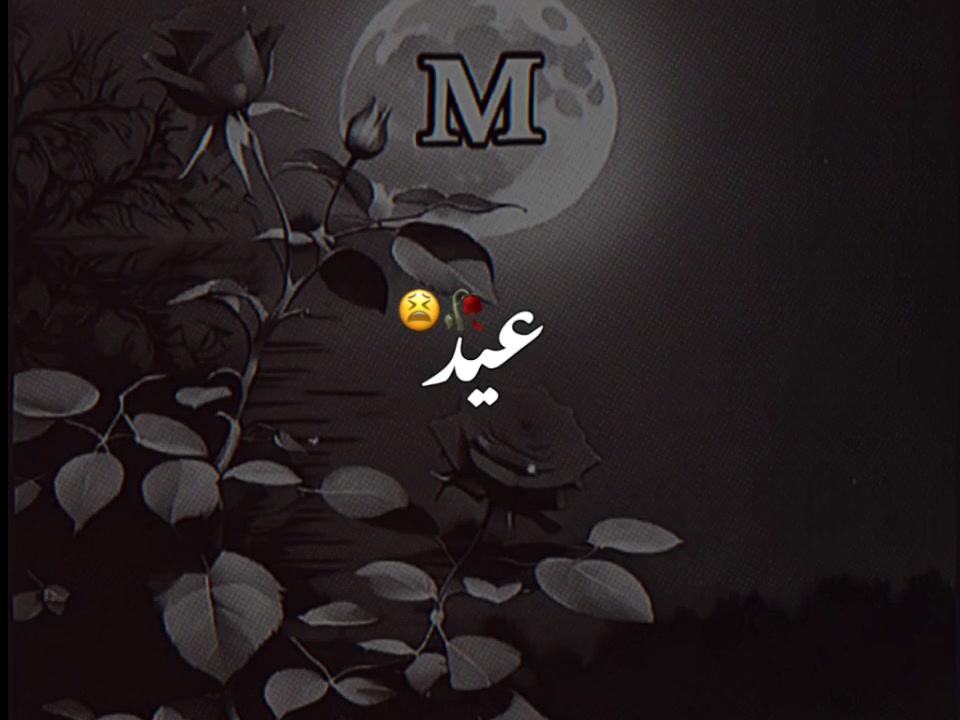 @💫𝐀𝐫𝐬𝐇𝐨🕳️к𝐇Ⓐη💫