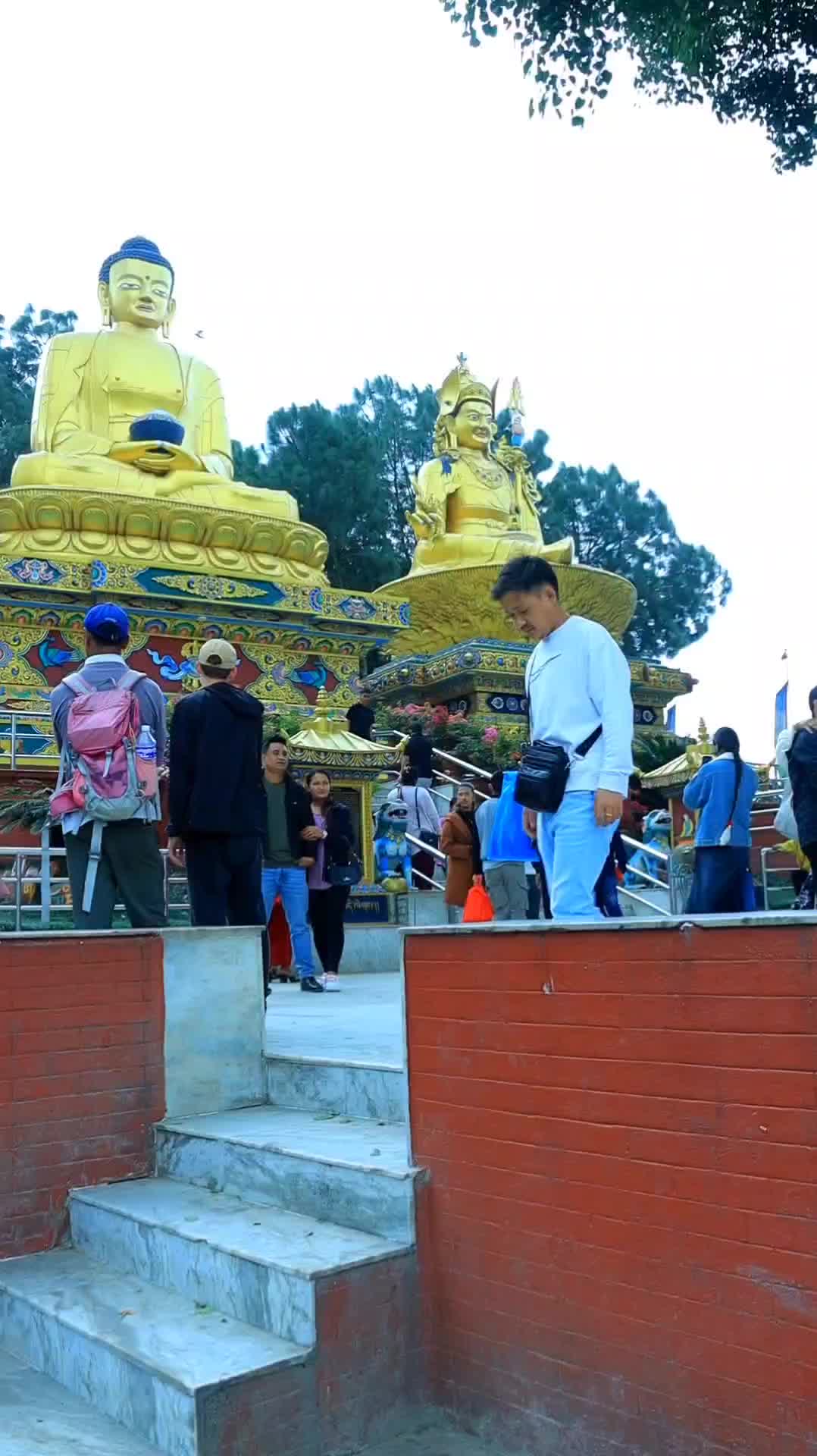 @upen_limbu🇳🇵
