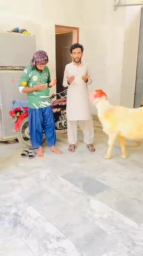 @💸 عاقب کوریہ ⚡