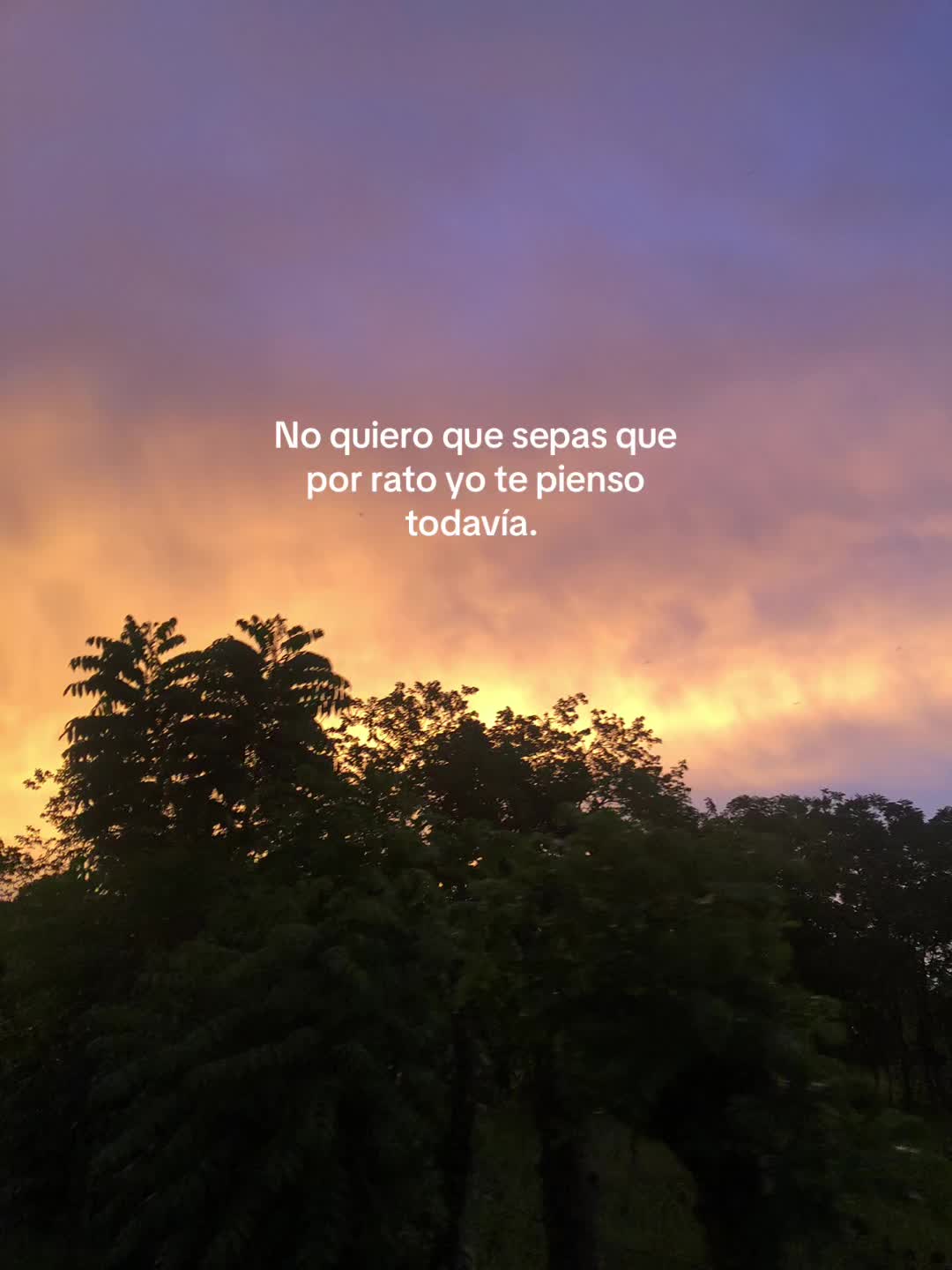 @Plantillas✨