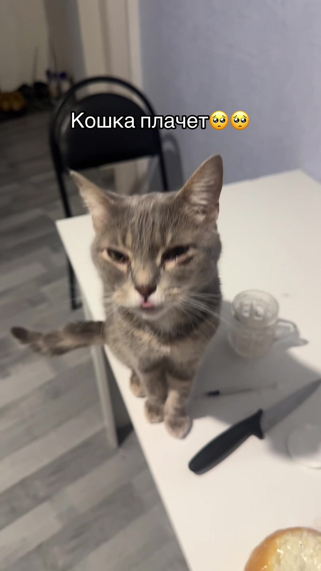 @😳ТГК: МИШГУН