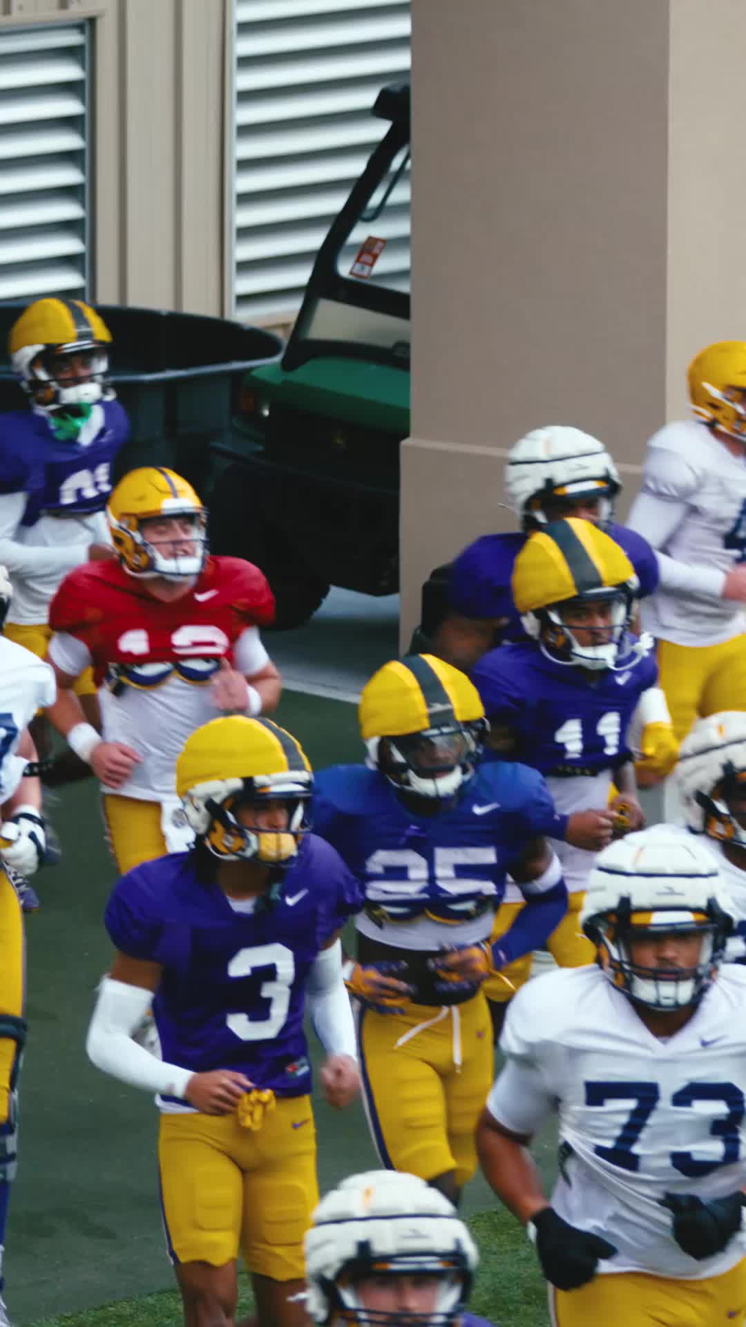 @lsu.sports7