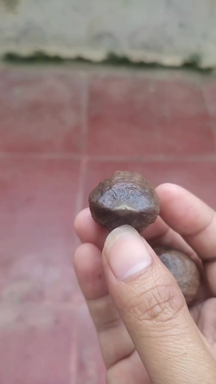 @ibonk