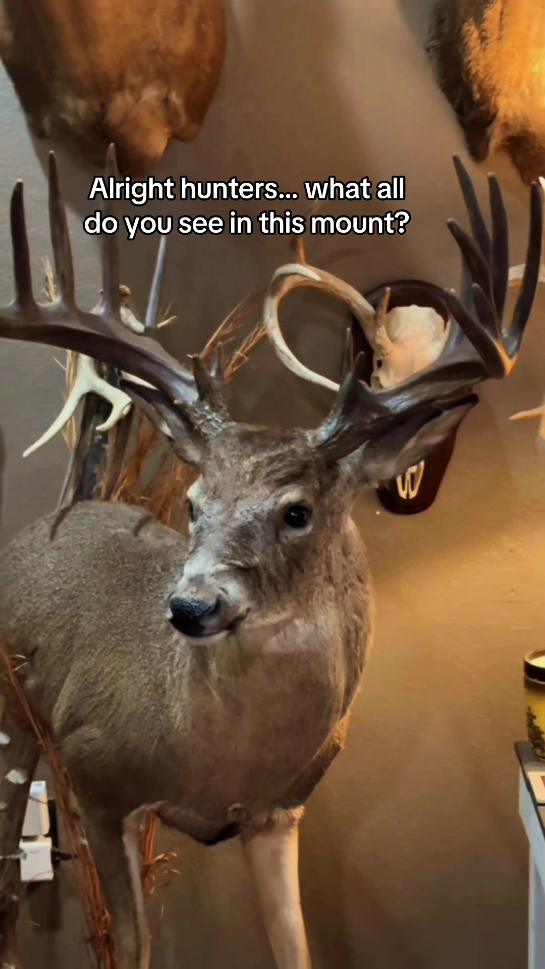 @ɴɪɴᴀ ᴏᴜᴛᴅᴏᴏʀꜱ 🌾🦌🏹