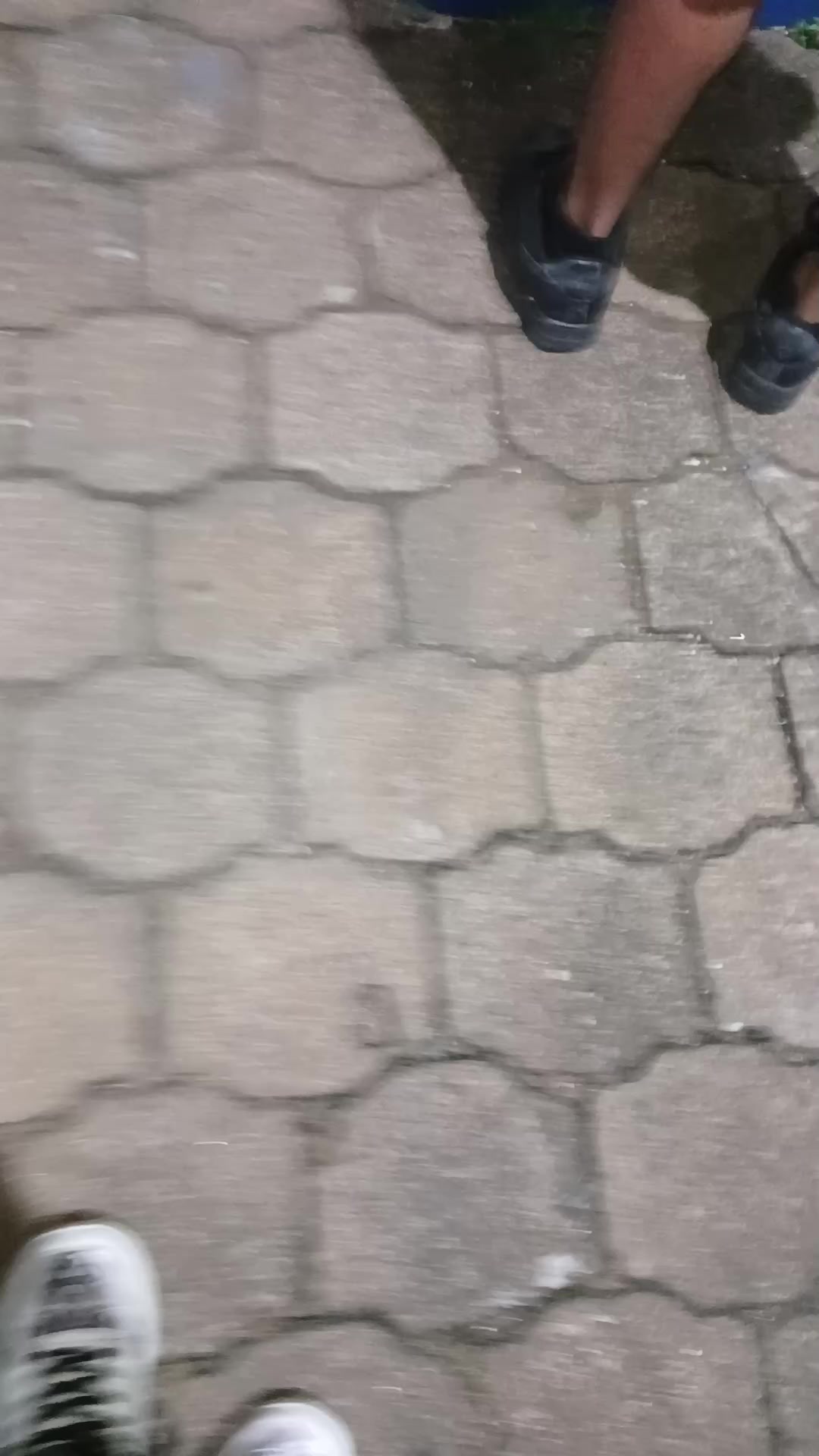 @BUNNY 𖣂