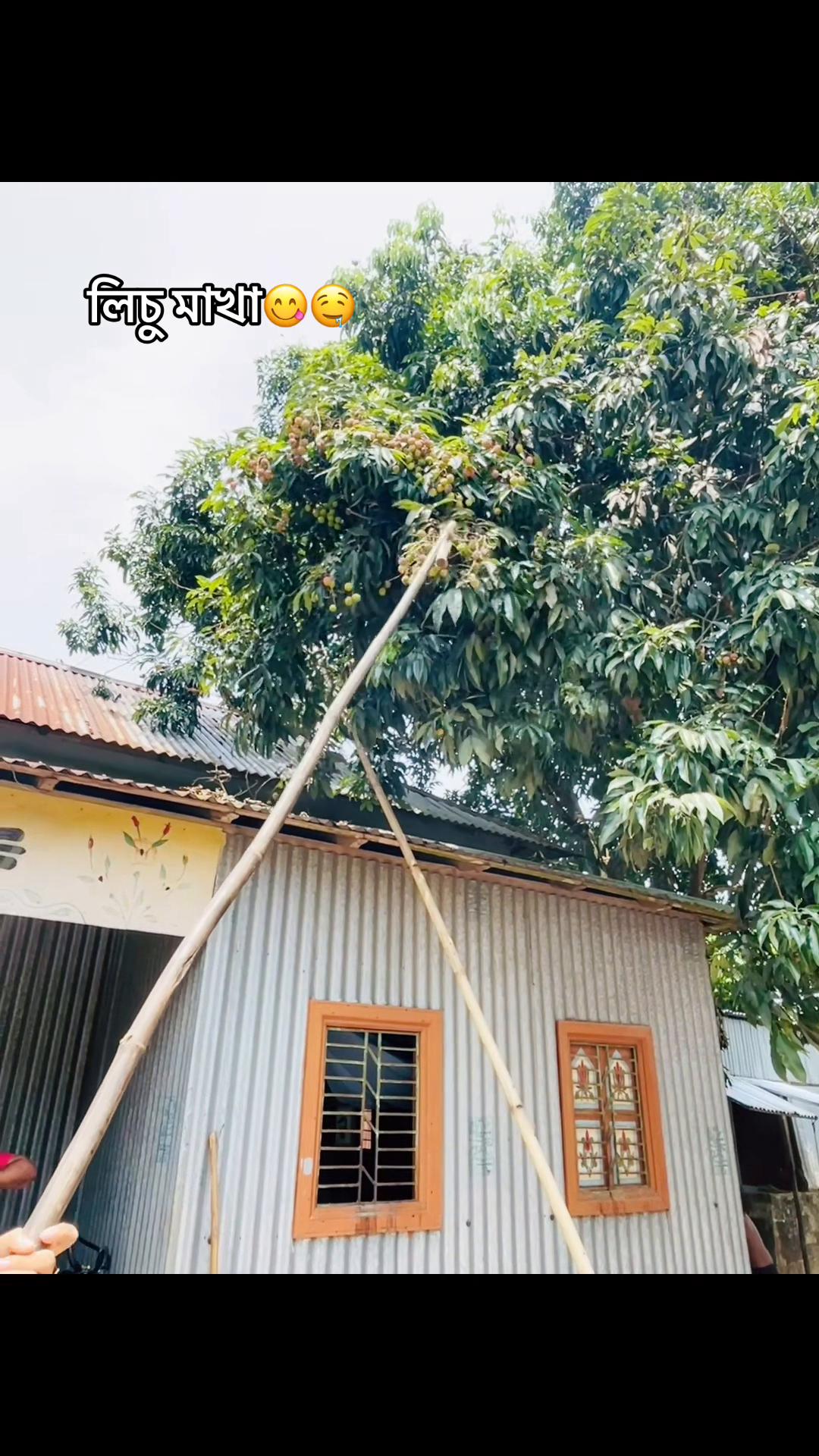 @Mituuđī¸đ