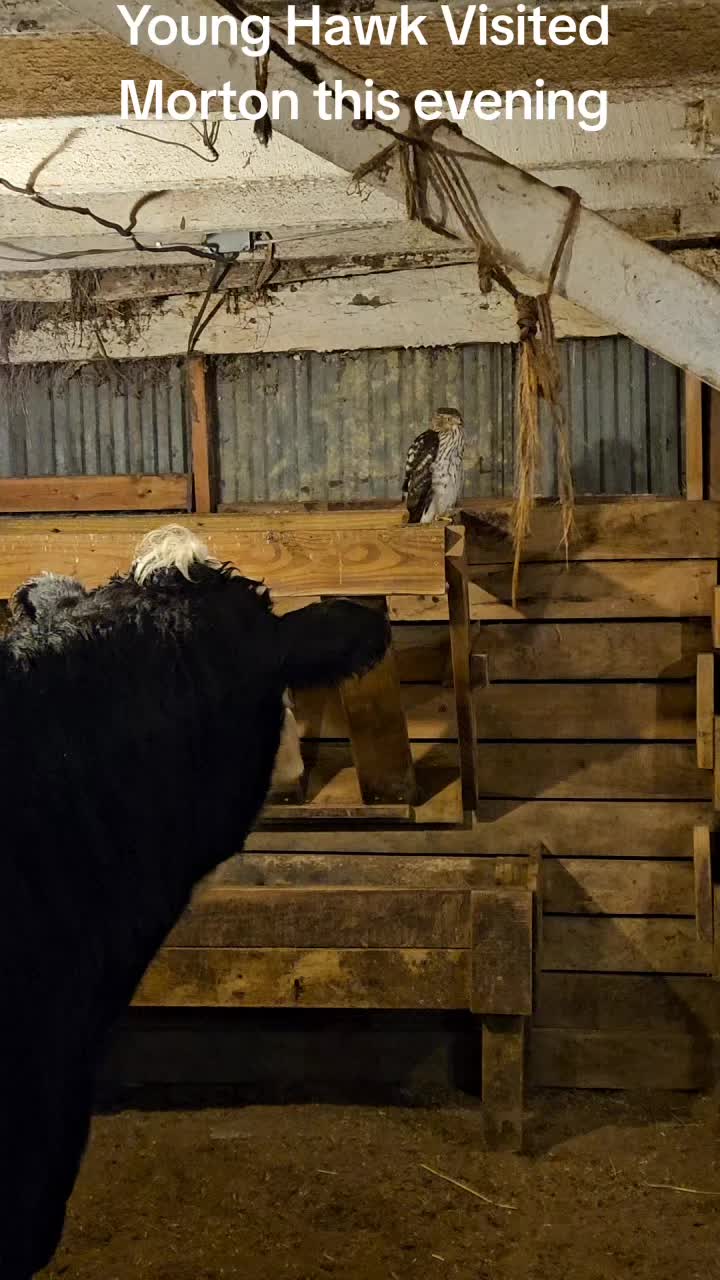 @Contraban Farms
