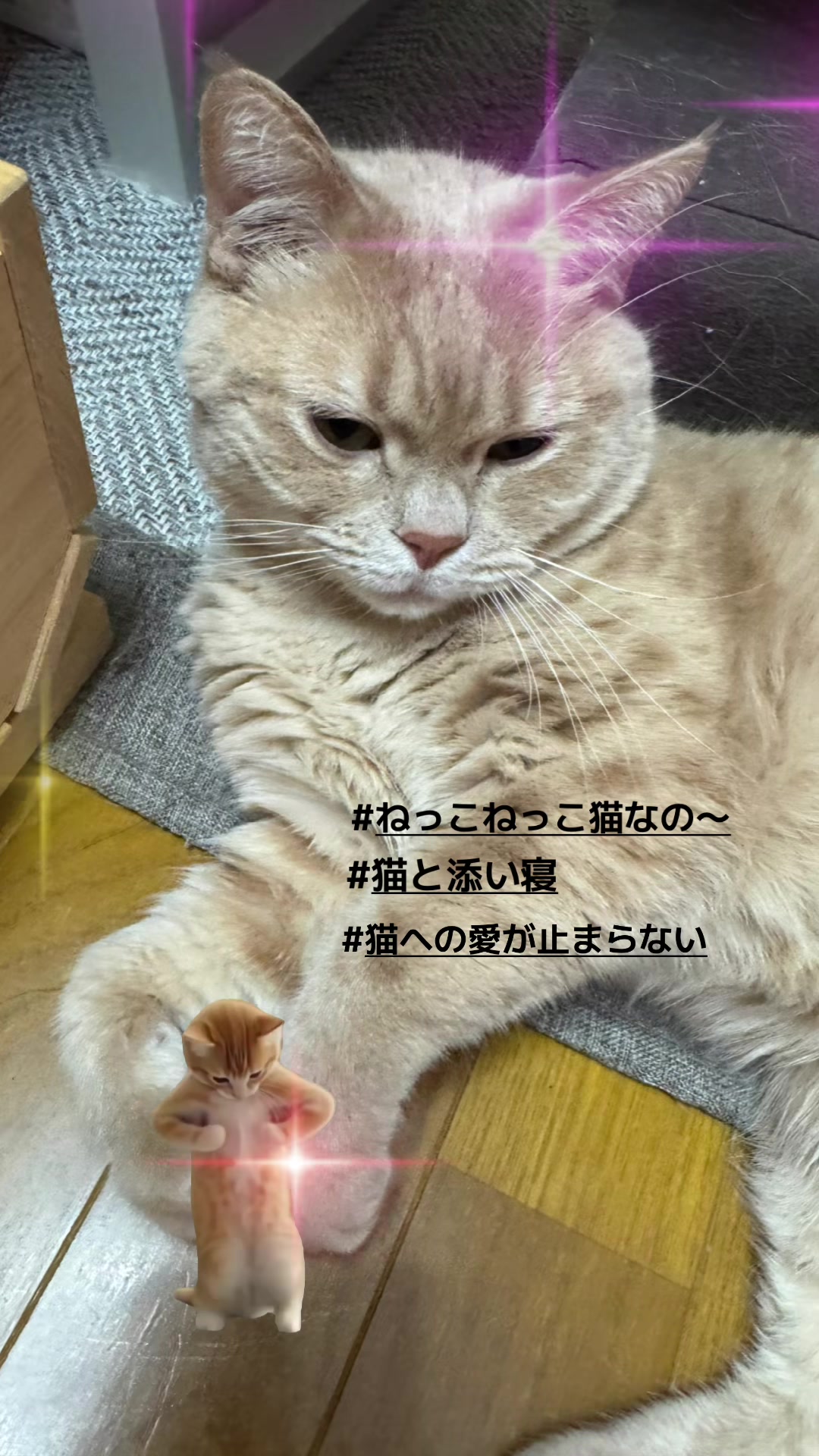 @ð«ð§ããã±ã³ðïžâïžãããµãð§ð«