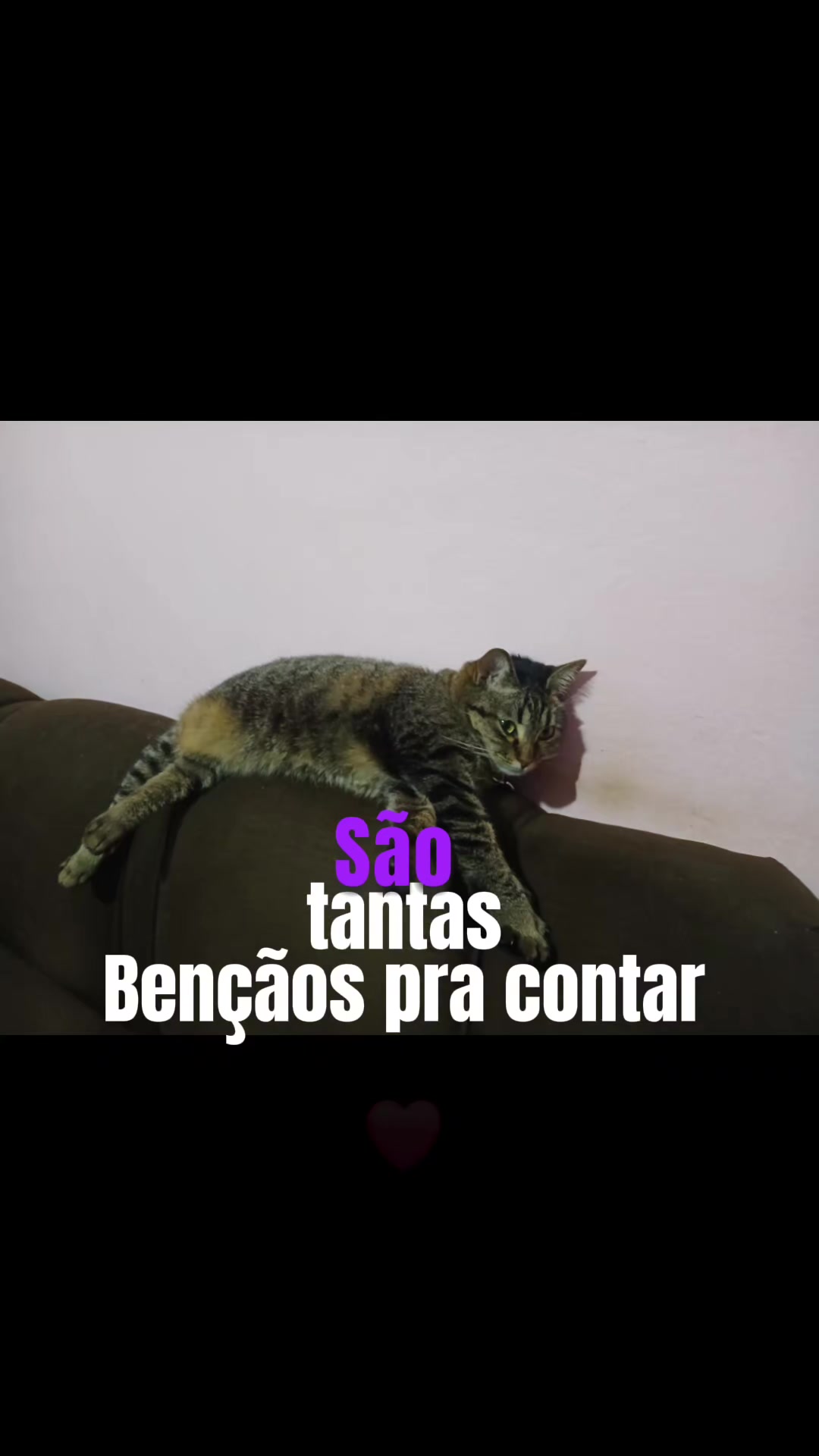 @Juliah Berto