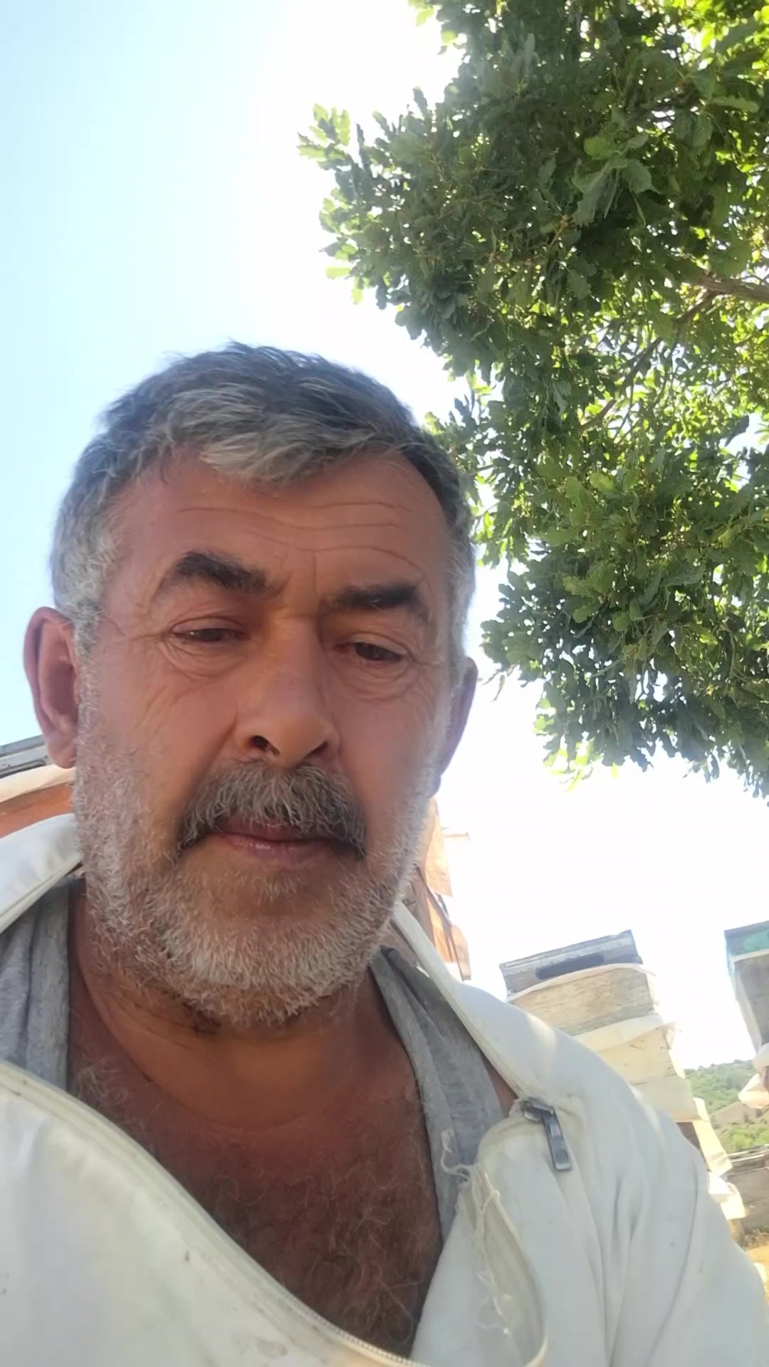 @Vural Demir