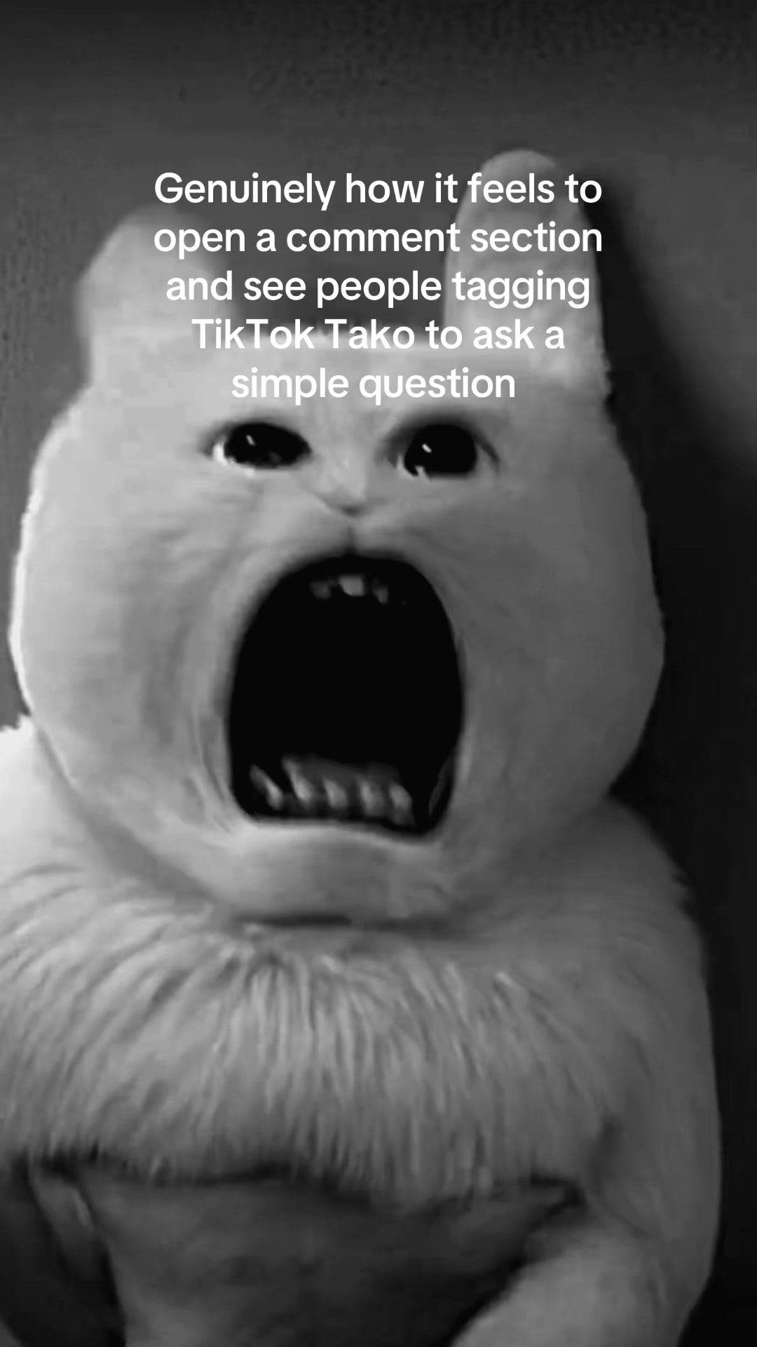 @๐๐ข๐ค๐ข๐ซ๐ก๐๐ฏ๐ถโญ๐๐ช