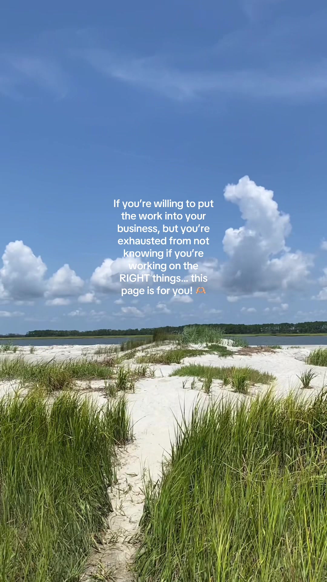 @Kaylie | Business Strategist