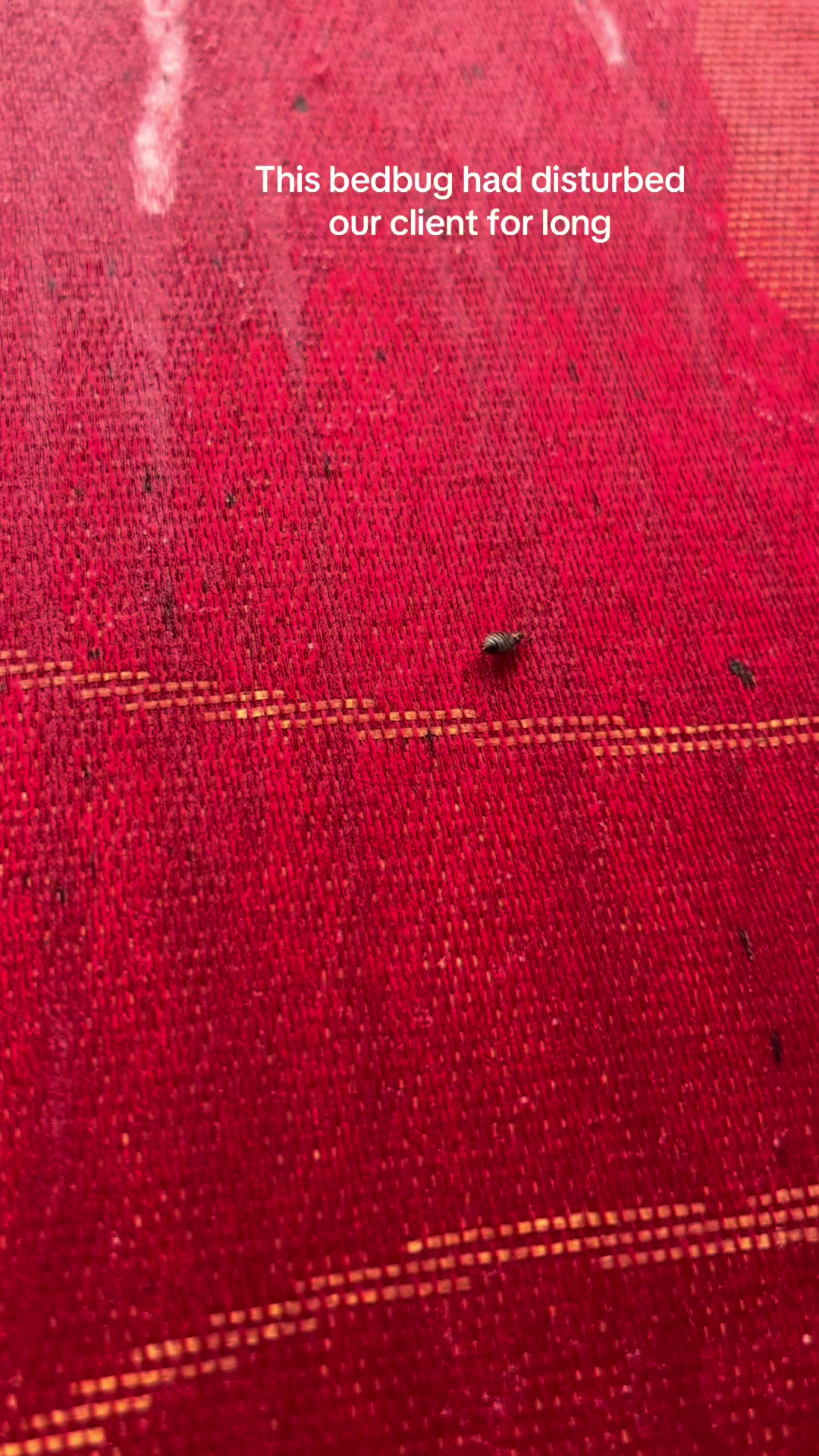 @Oraan Fumigation 🇺🇬