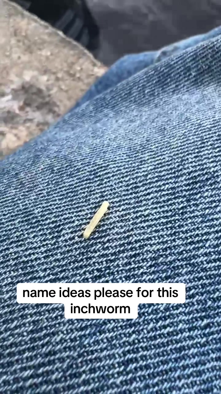 @crazypoptarts16