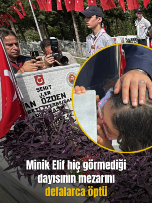 @Mynet