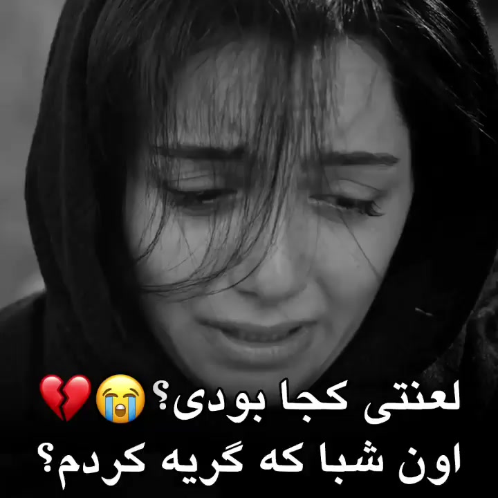 @Mehrab / مهراب