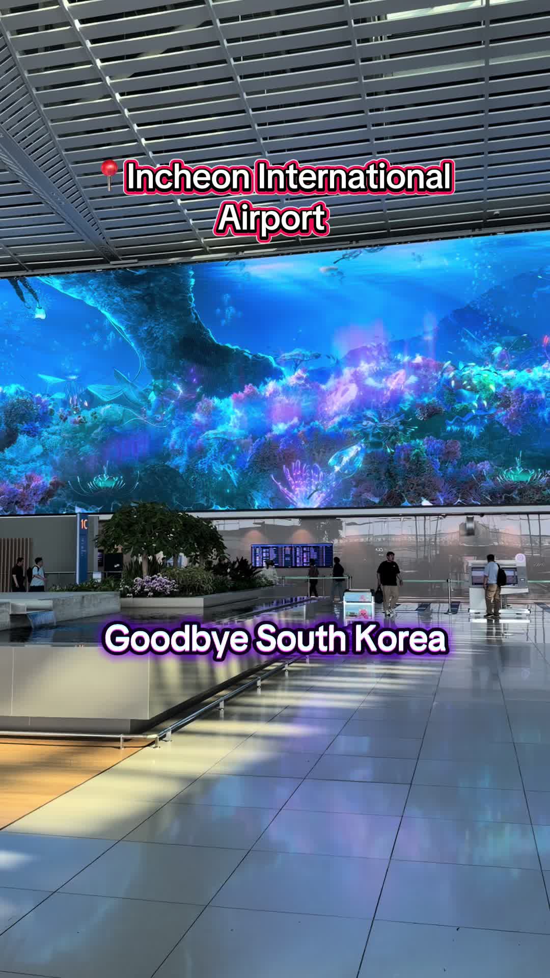 @Yaa - Teach|Travel|Taste|TV