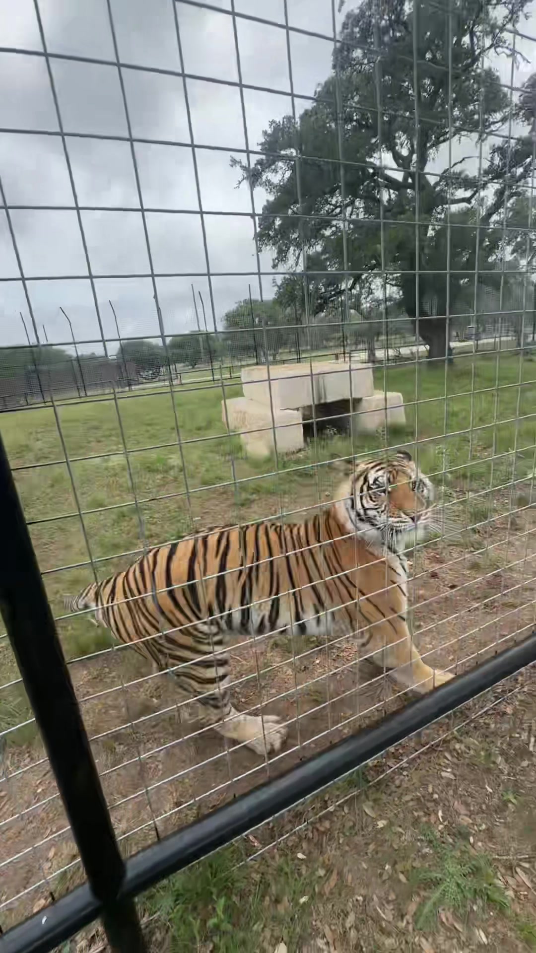 @Texas Wildlife Park