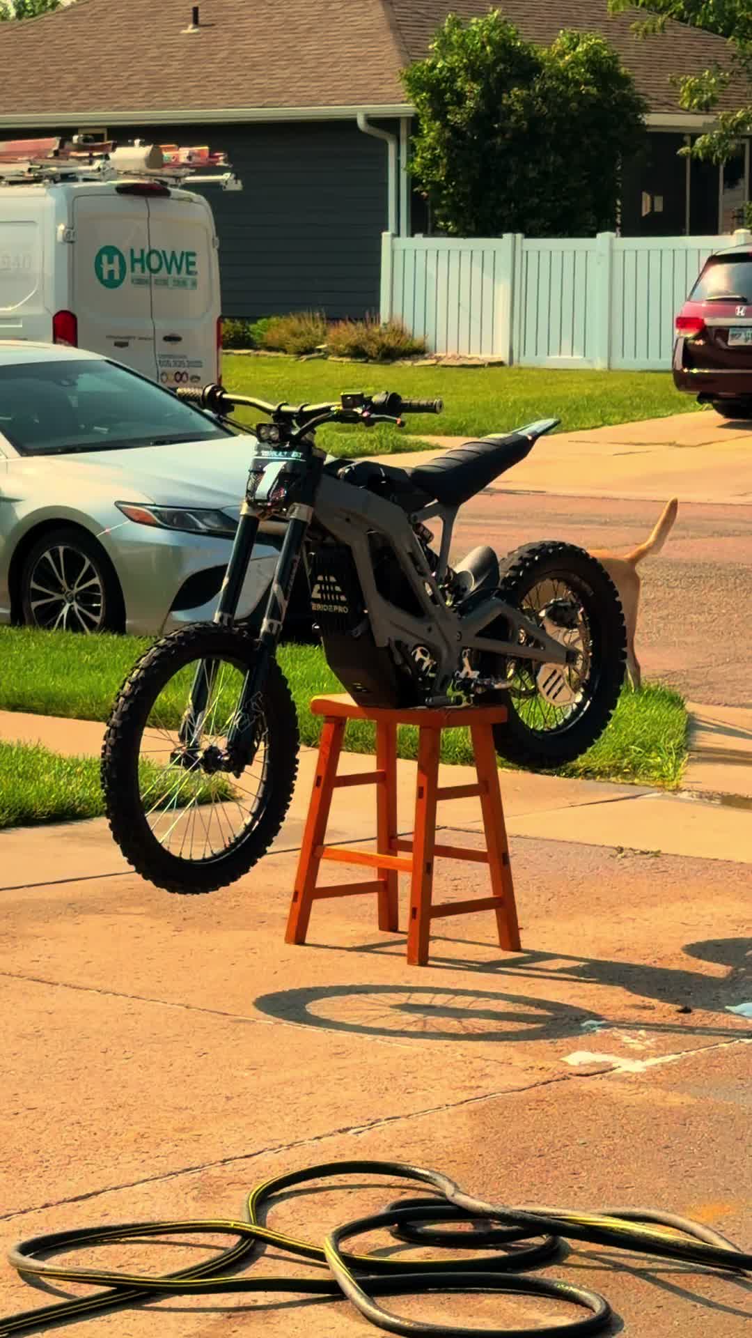 @sufu.eride®🦈