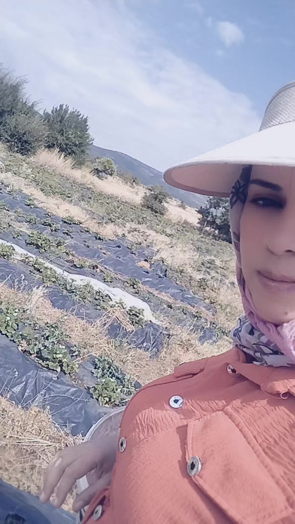 @Ayşegül_ 42