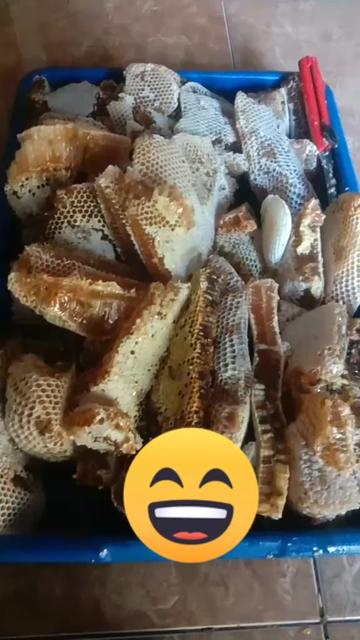 @Kabul Kajate_16
