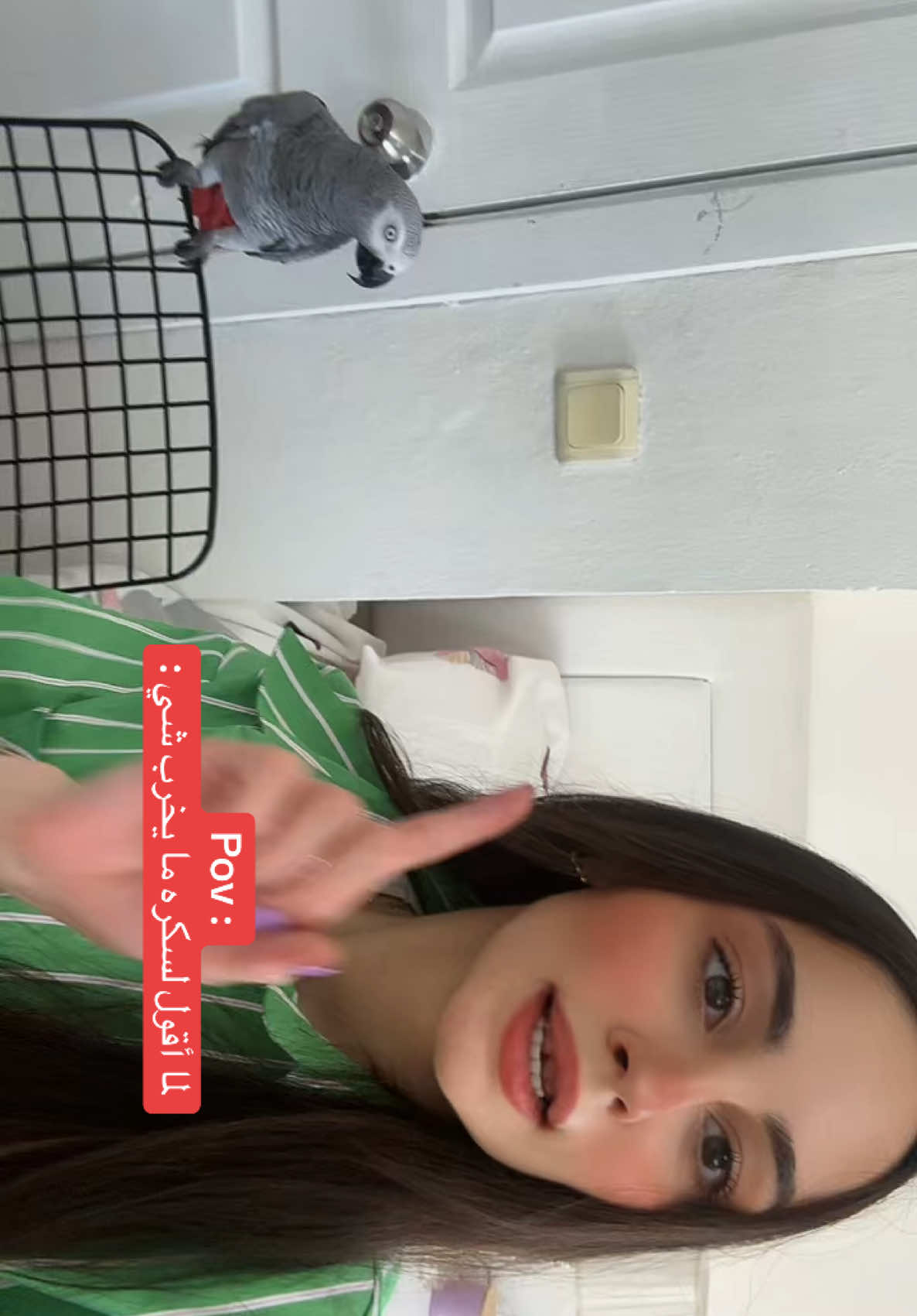 @Arein 🇵🇸