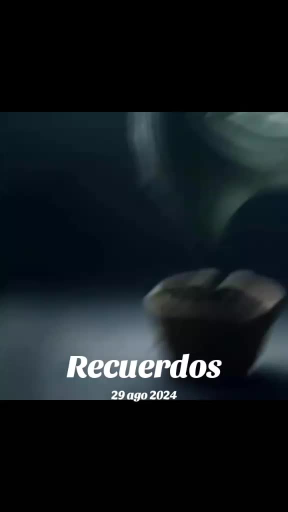 @elenacaceres6281