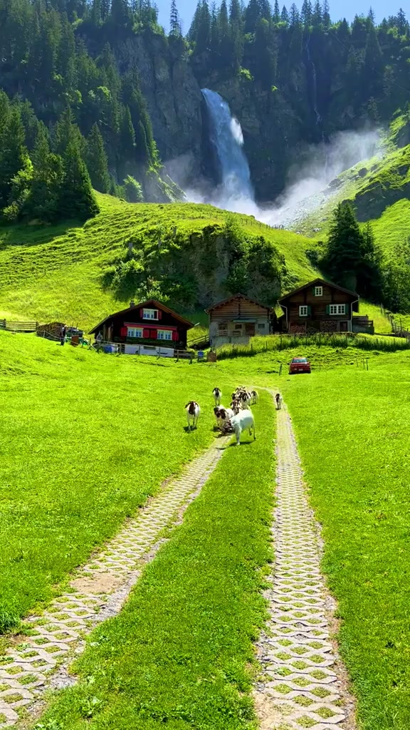 @zehara 🦋🦋🦋🦋