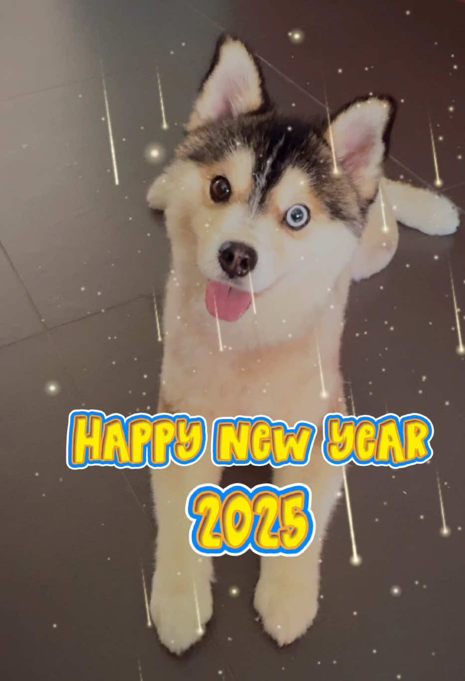 @Goofy&ensp;Dawg