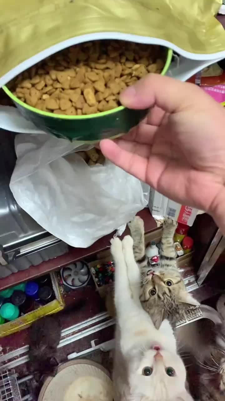 @ariatk