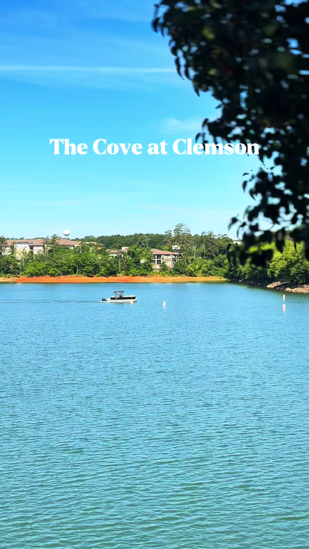 @The Cove at Clemson