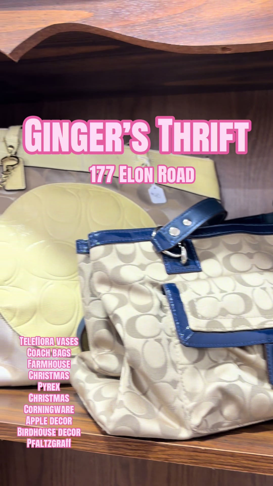 @Ginger&rsquo;s🧸🪿IG:gingersthrift
