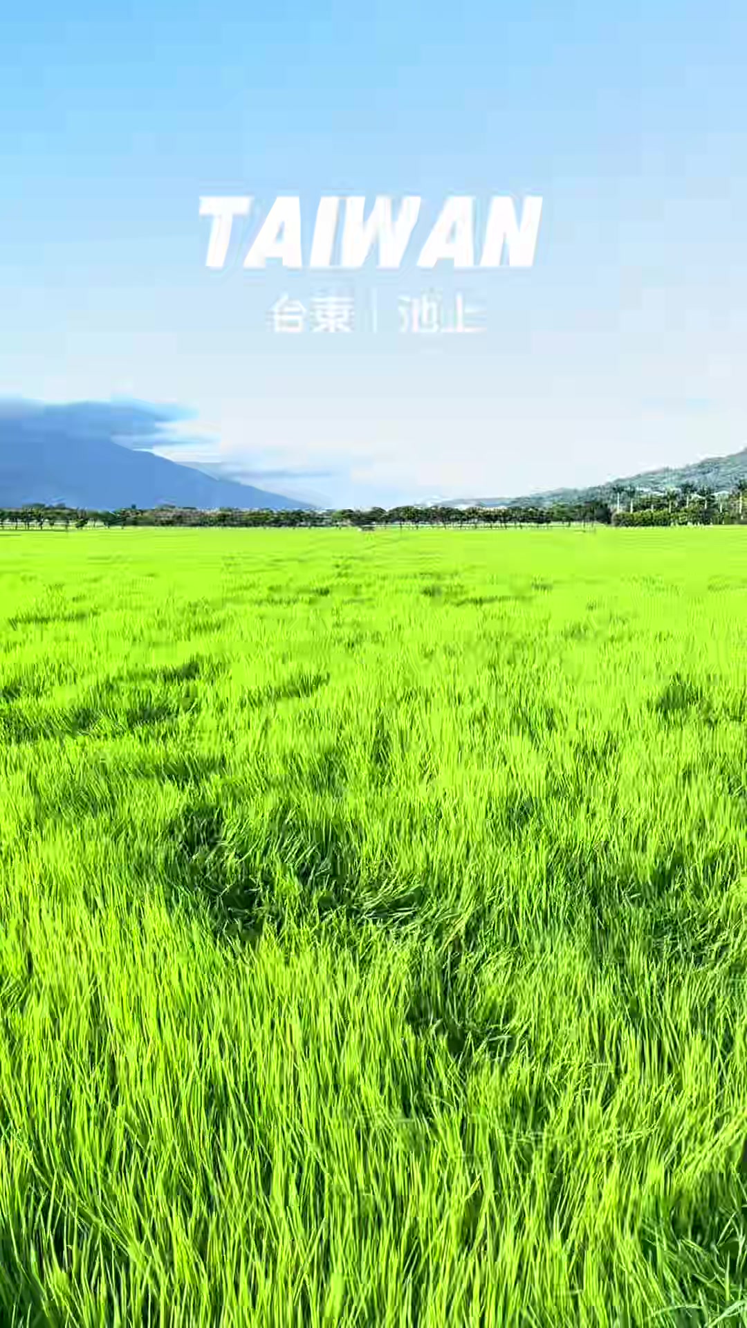 @美娴(華鼎自行車出租店)