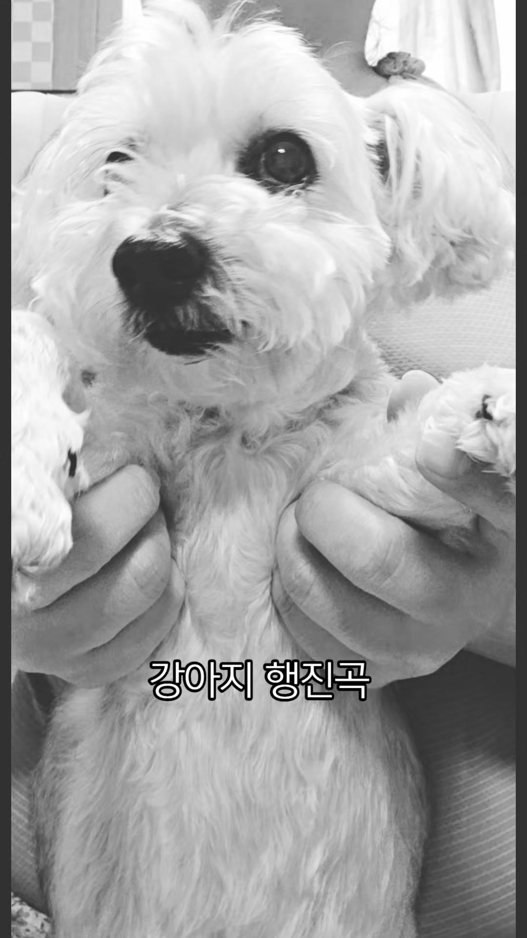 @망뭉구