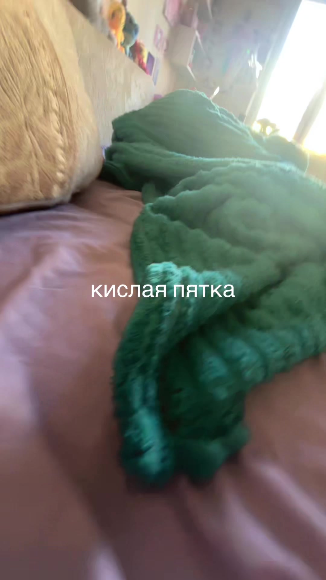 @๐ฝ๐๐๐๐ข๐โฎโห