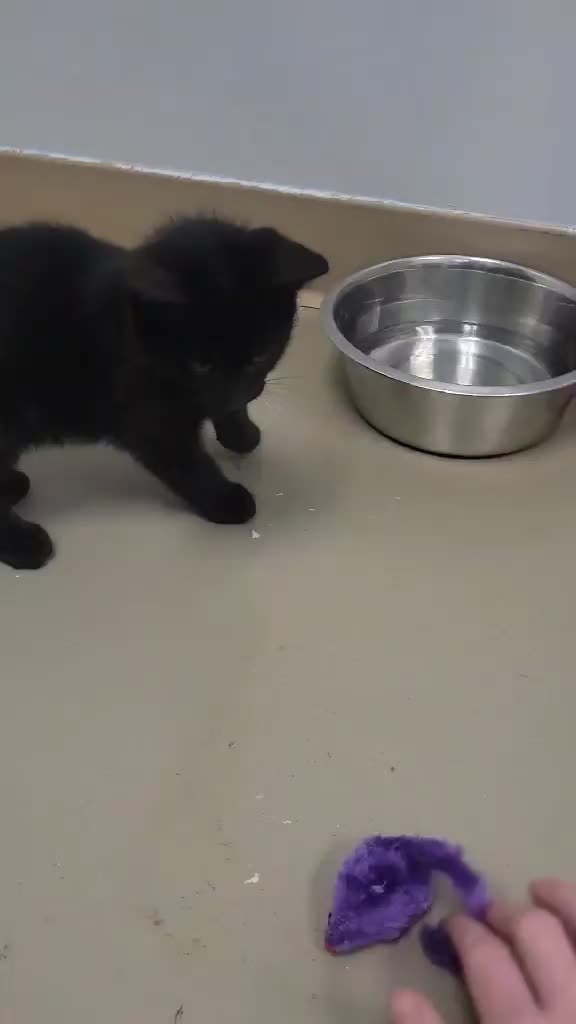 @April Mangrum