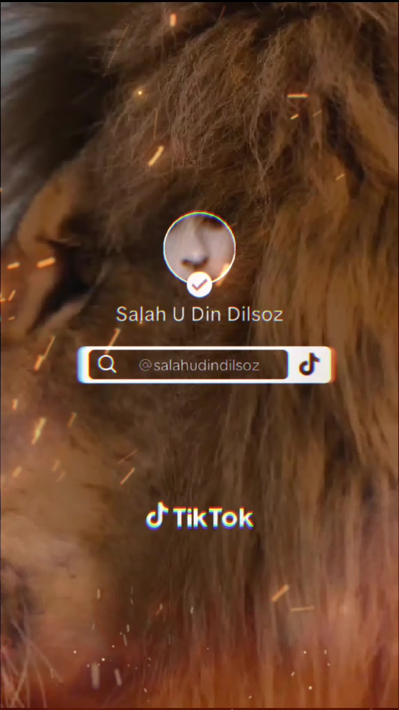 @Salah U Din Dilsoz