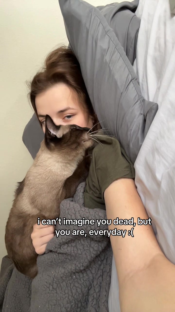 @lora’s lil crew 🐈⬛🫶🏼