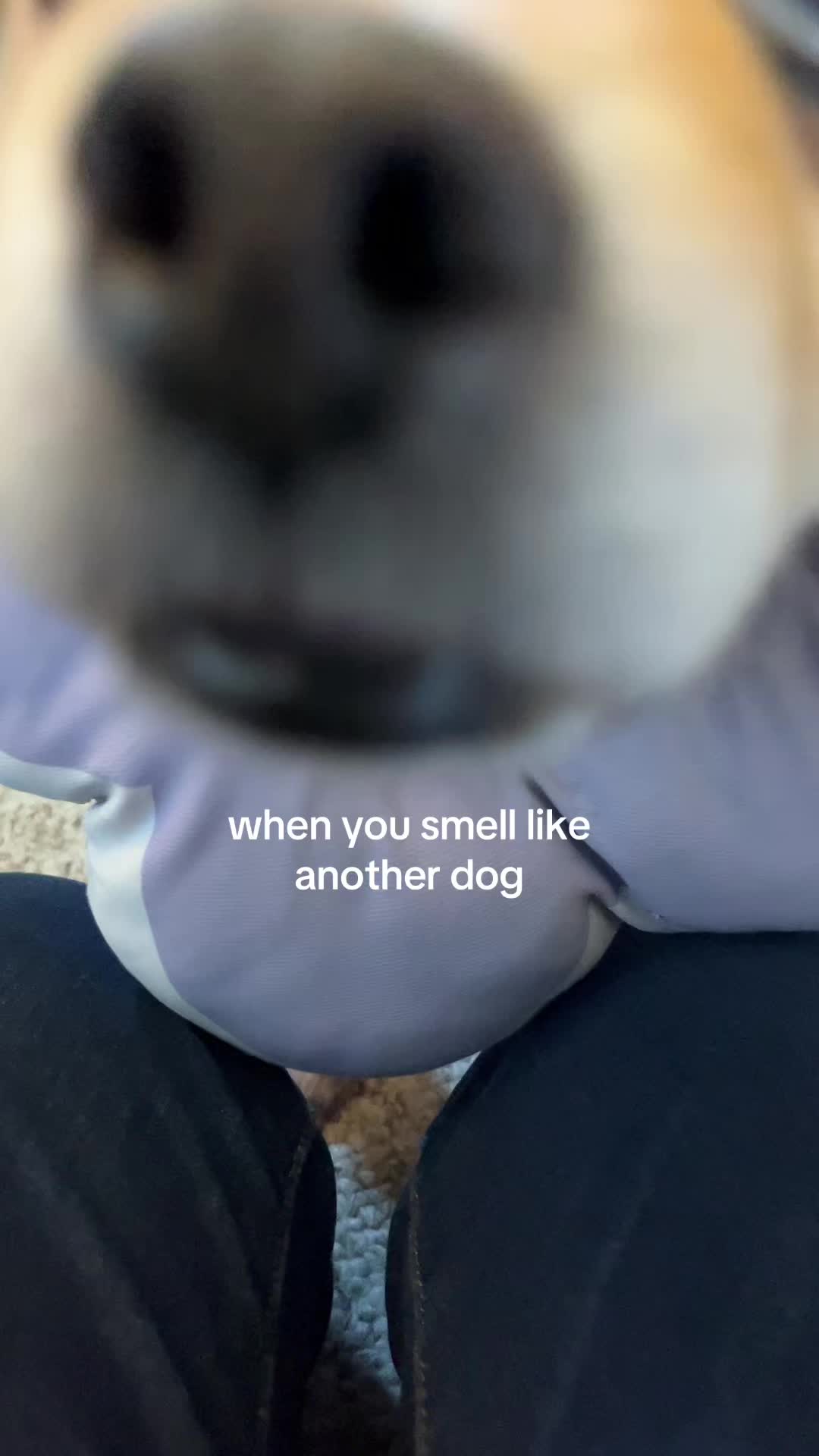 @kingpep