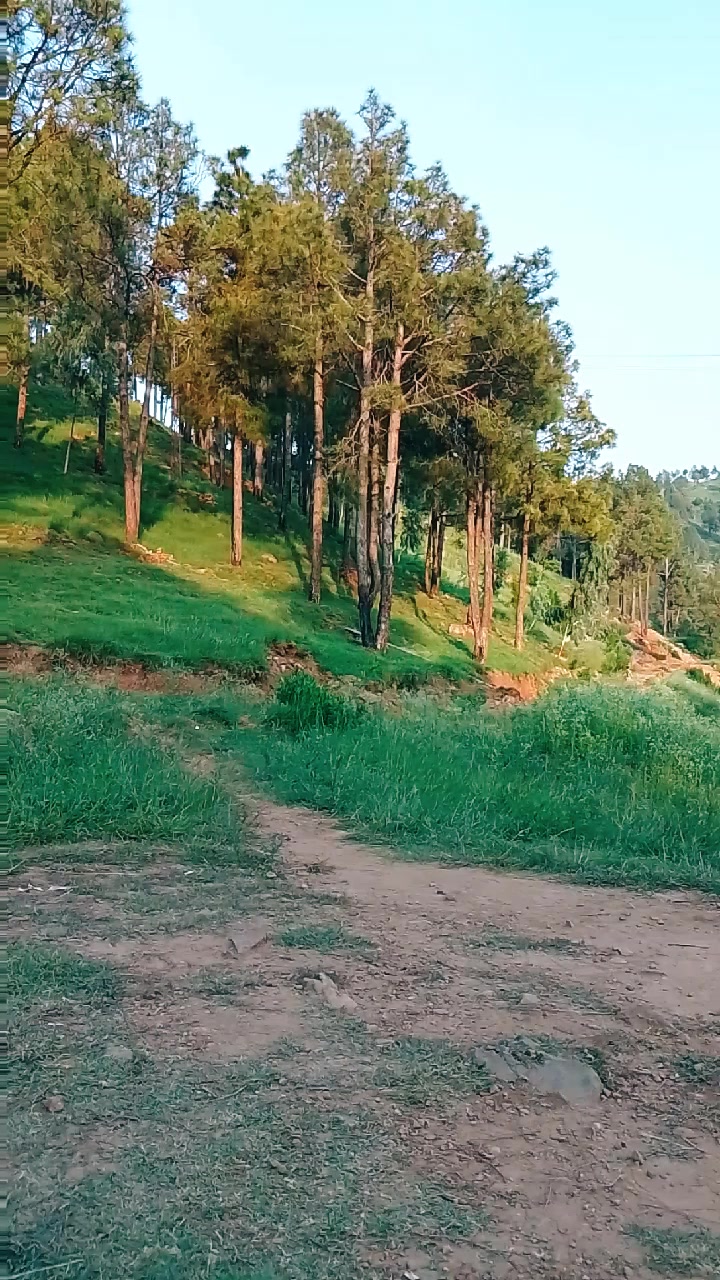 @NaSiRqUrEsHi