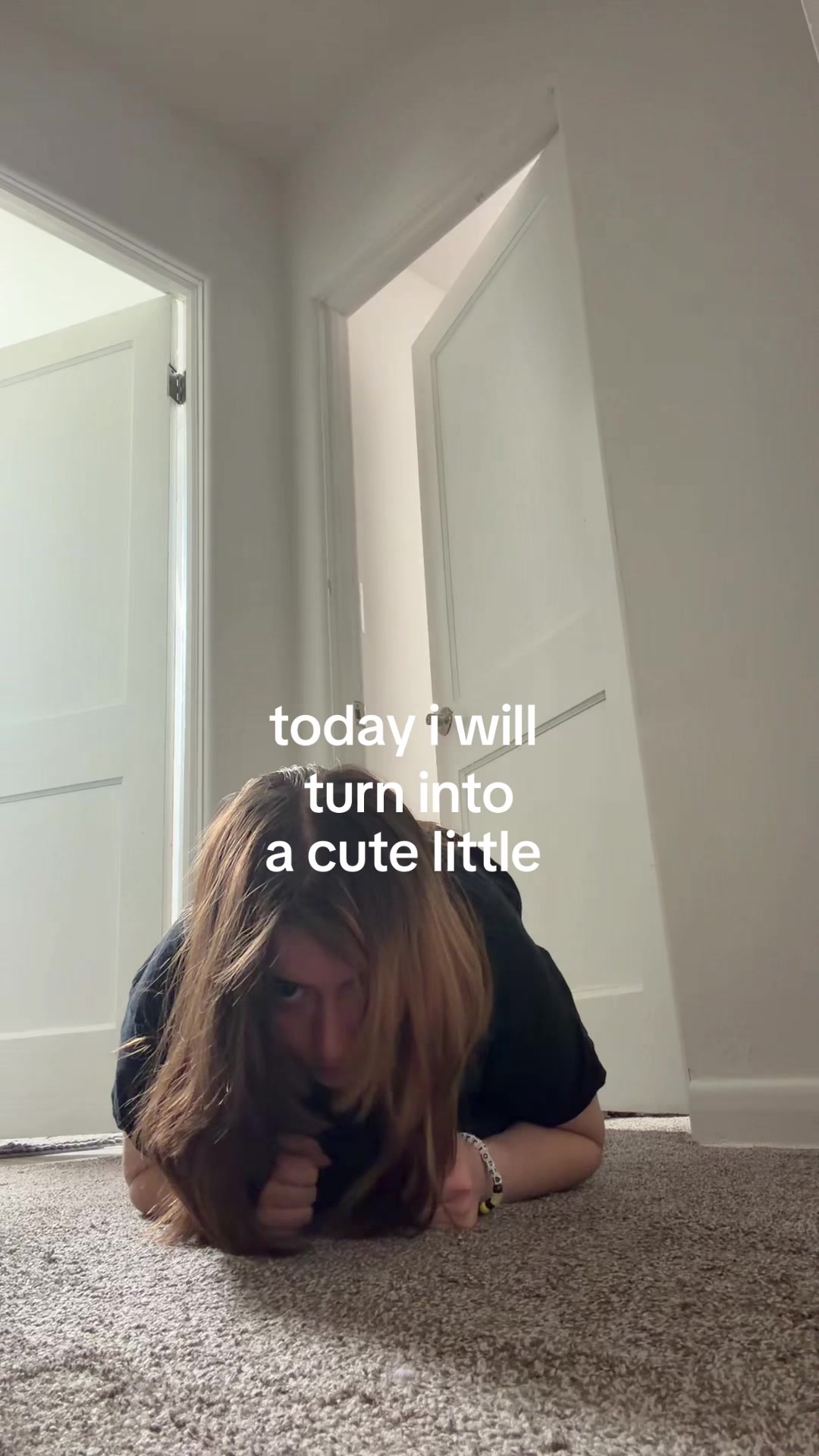 @paoluver