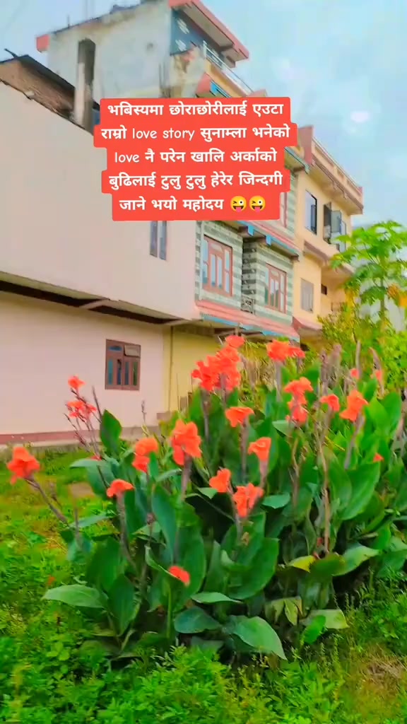 @Hari Singh Thakuri