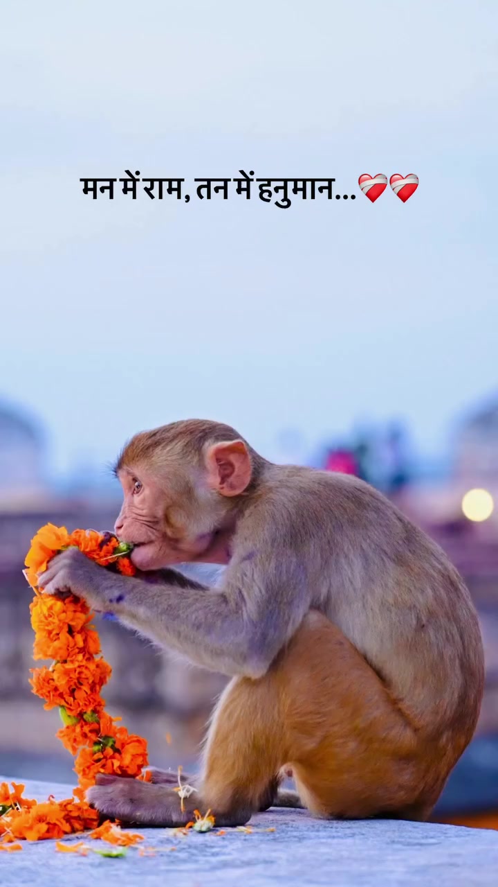 @@BajrangDalbirganjjila🙏🙏