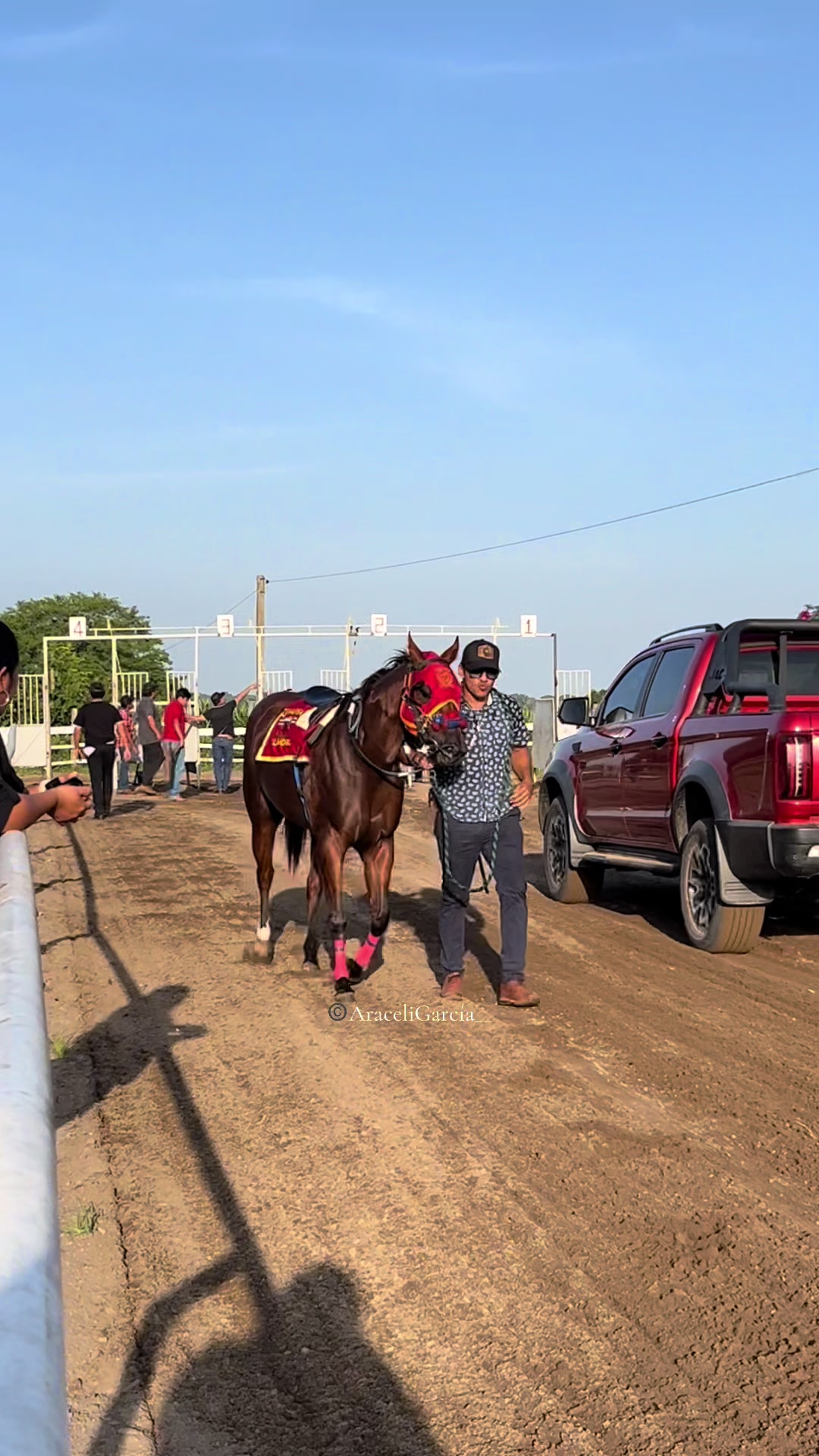 @Araceli García 🏇