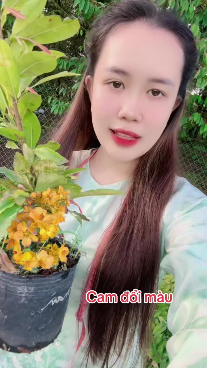 @Chichchoebong79
