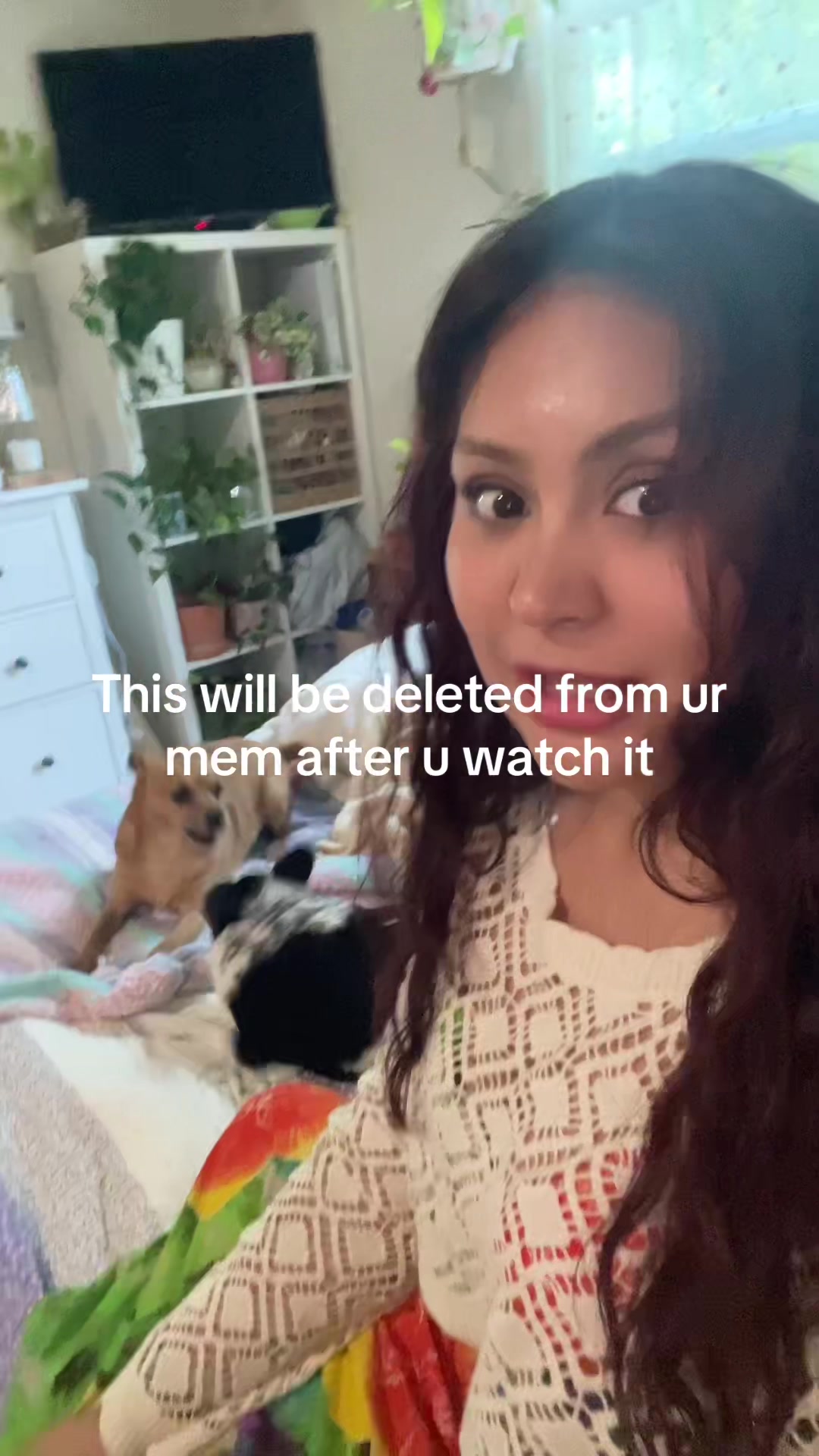 @Spicycrabboil