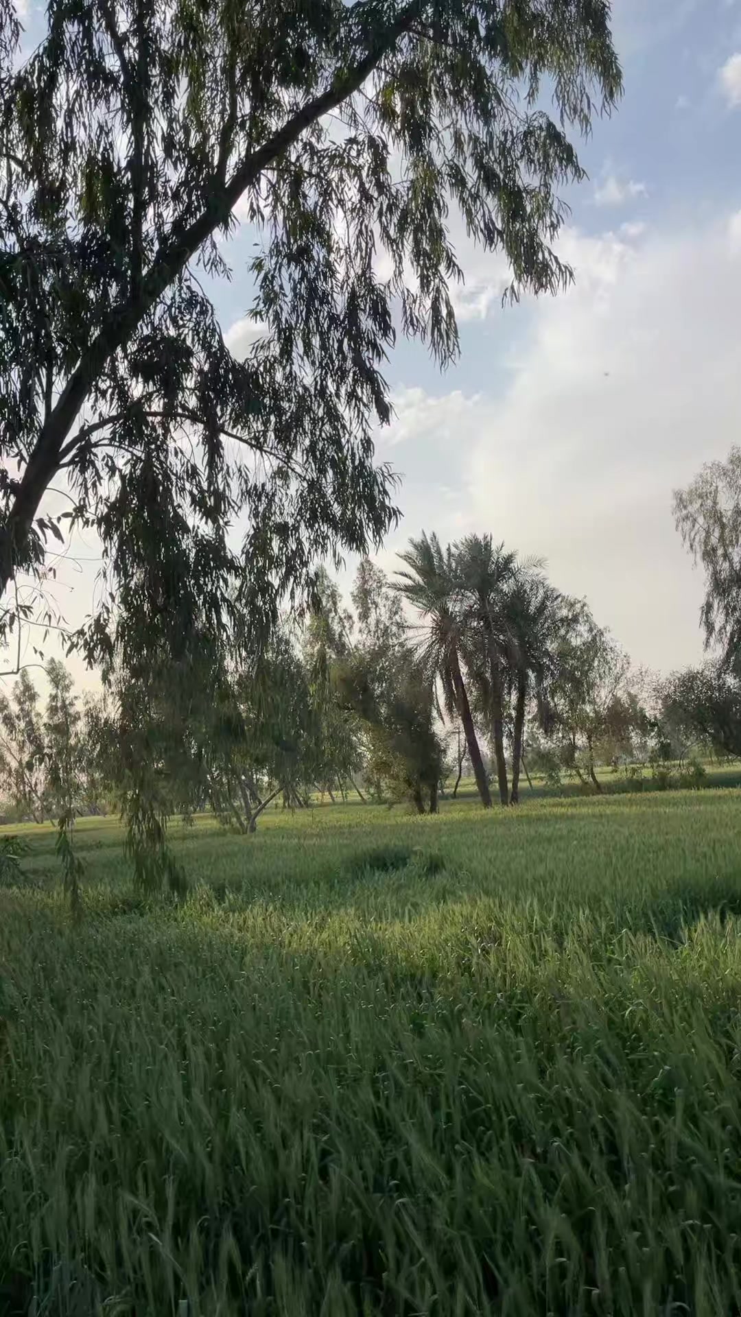 @مر چکا ہے دل مگر زندہ ہوں میں