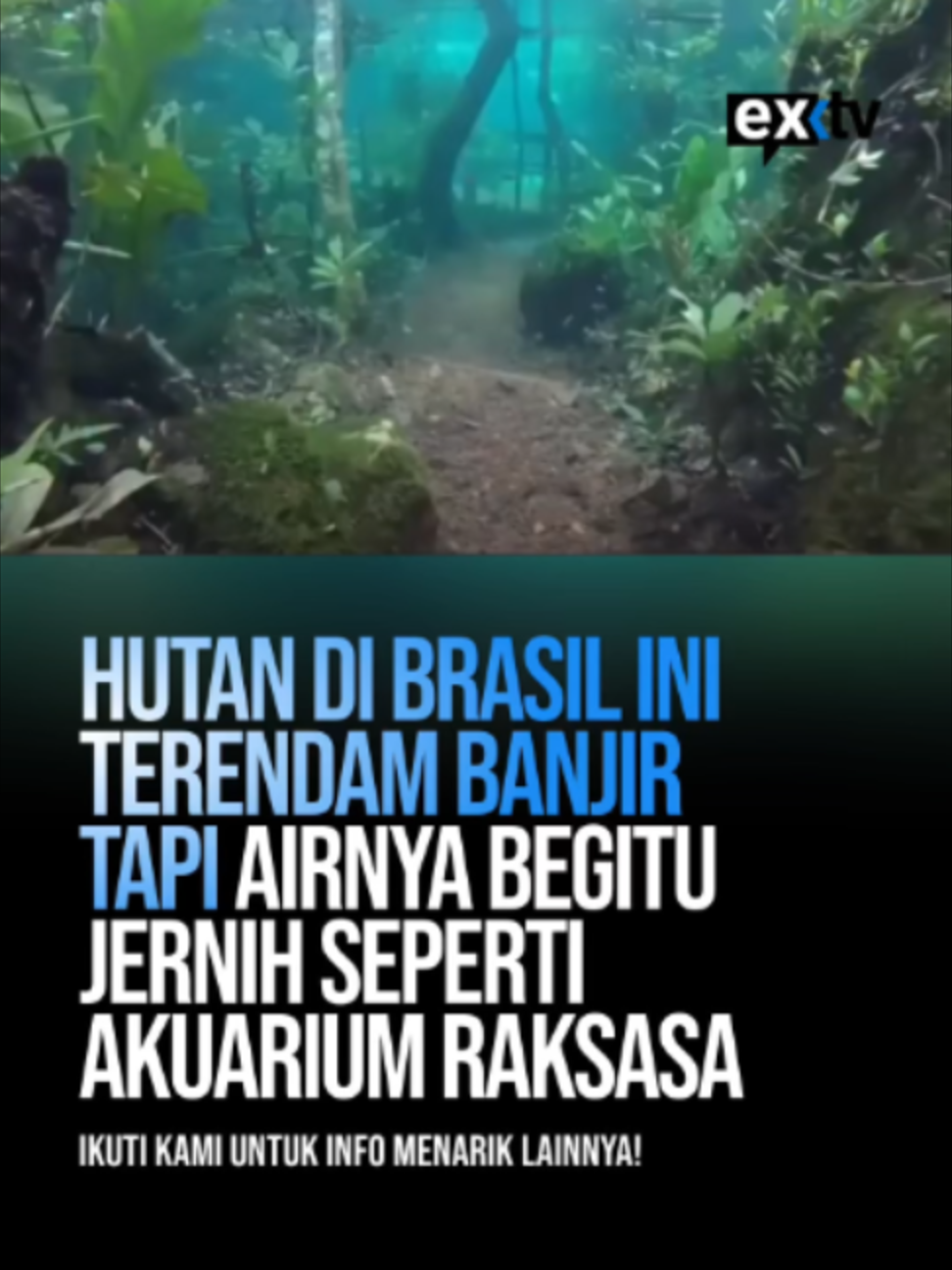 @Expressi Media