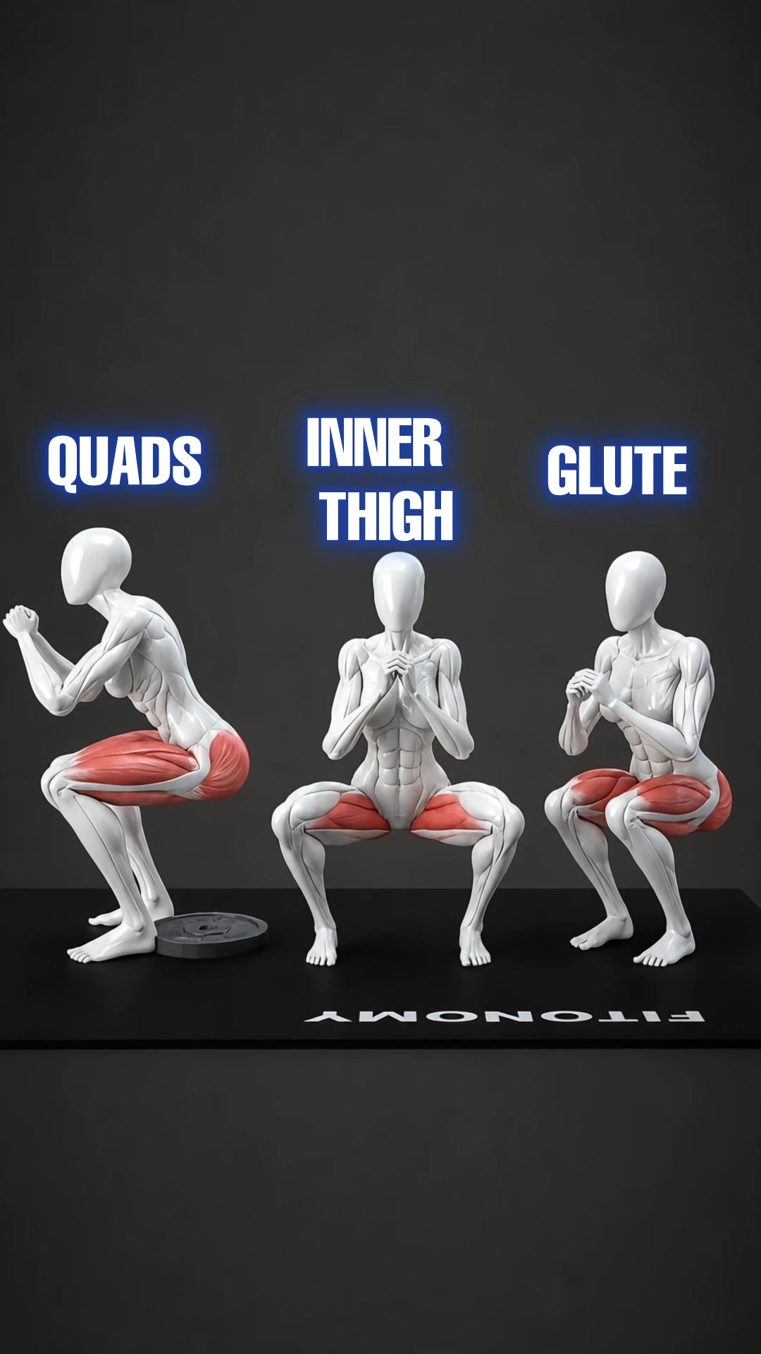 @Fitonomy